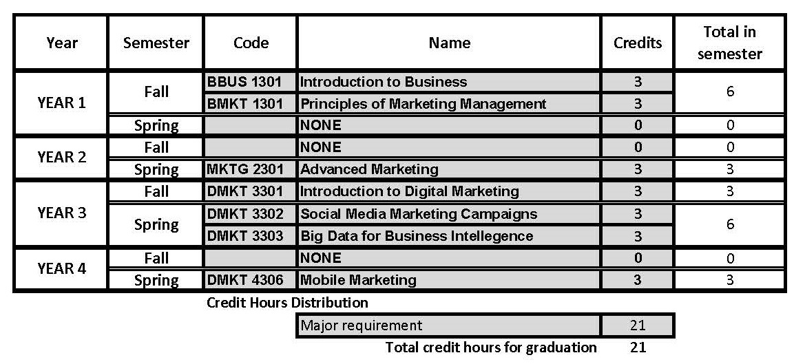 Digital Marketing - Minor (002) - Copy.jpg